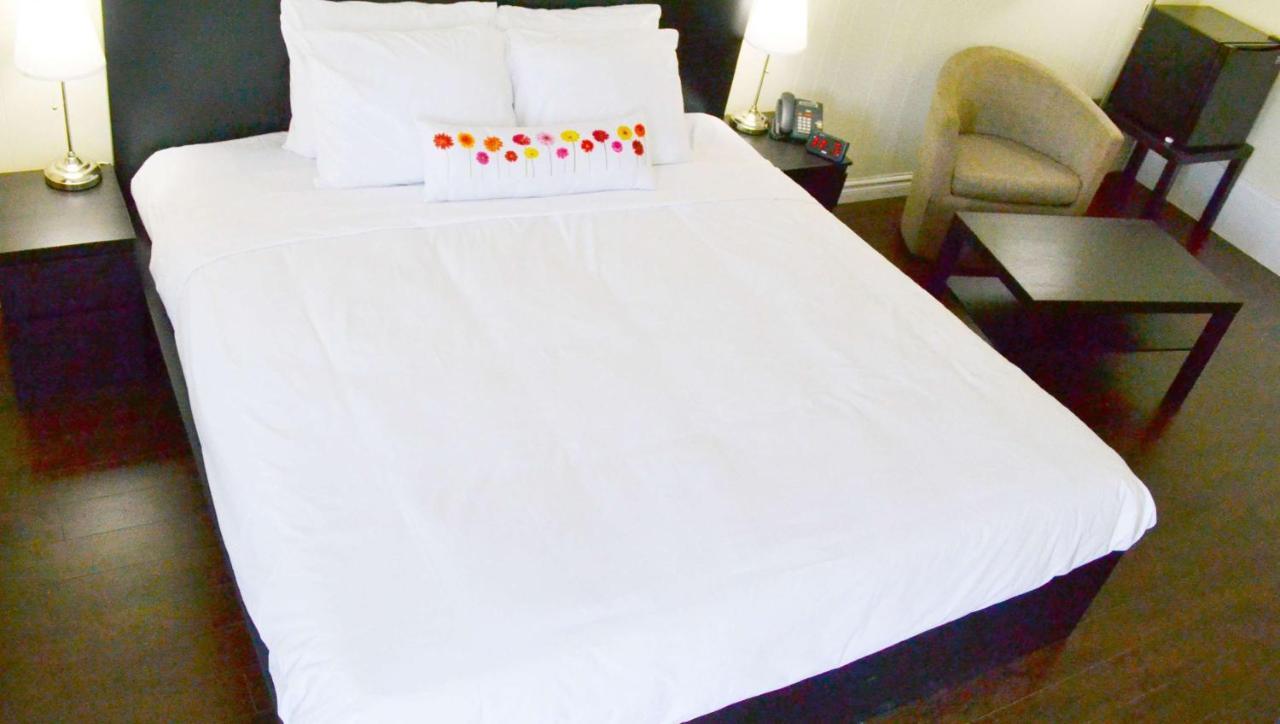 Magnuson Hotel Vow Palmerston Zewnętrze zdjęcie